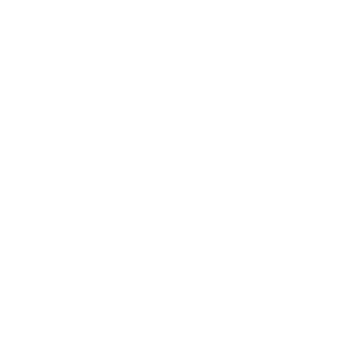 Number 1 icon